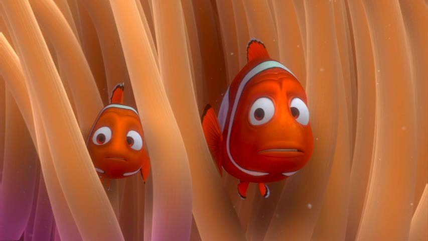 Finding-Nemo-finding-nemo-3561871-853-480
