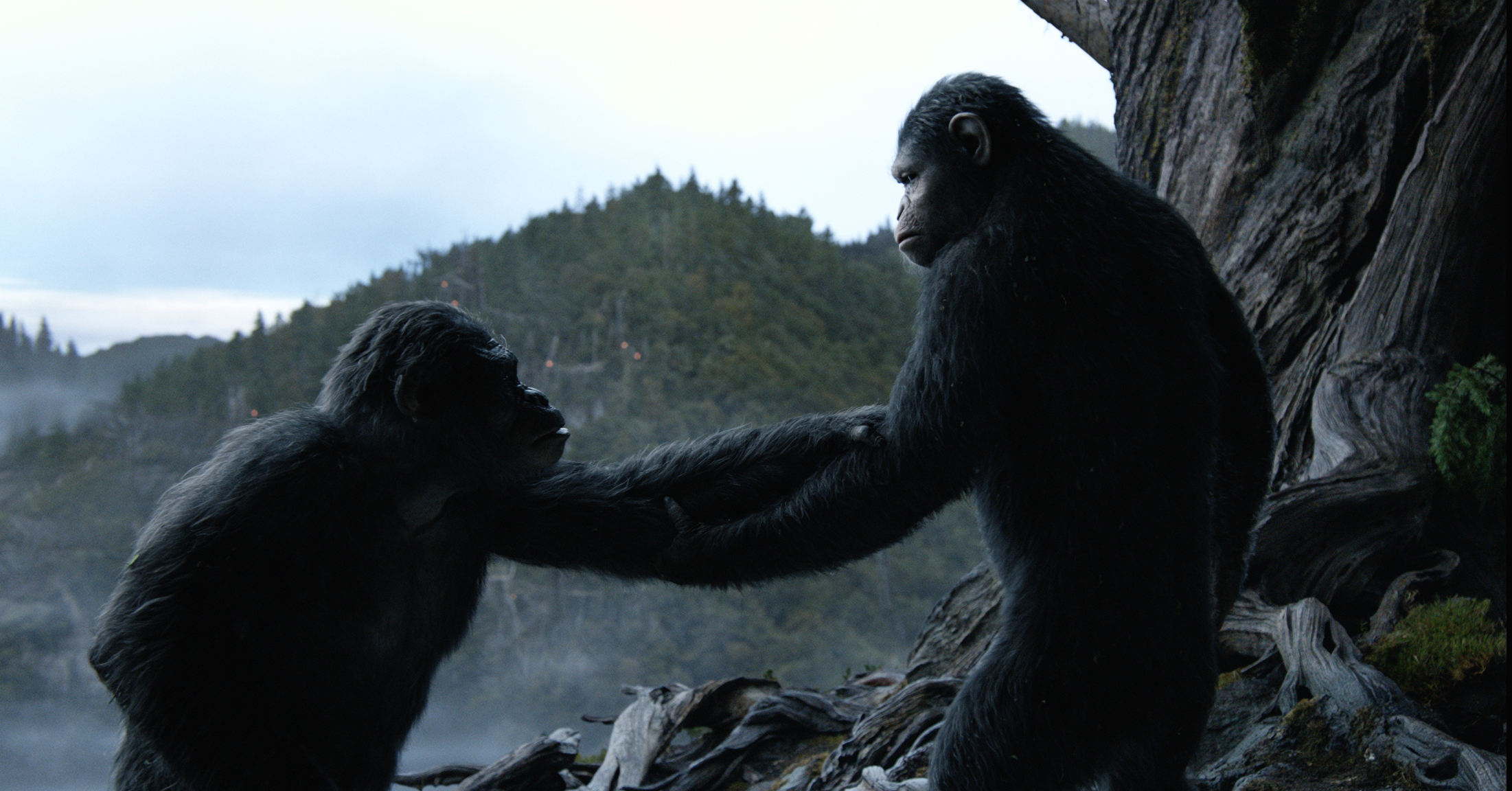 Dawn of the planet of the apes - hands